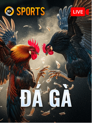 TX88 Đá Gà K-Sports